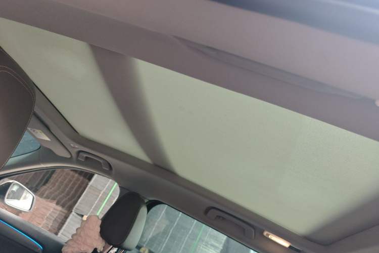 Used BMW X1 2018 sDrive18Li Luxury Model Headliner