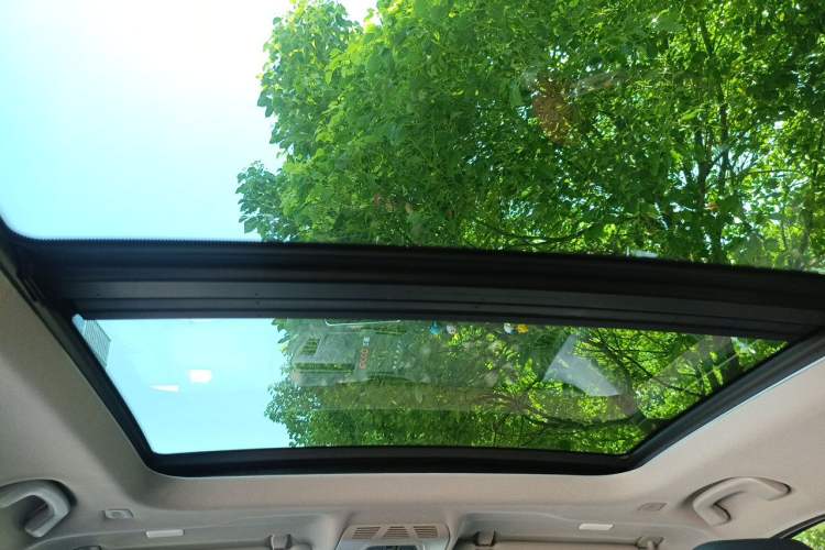 Used BMW X1 2018 sDrive20Li Leading Model Headliner