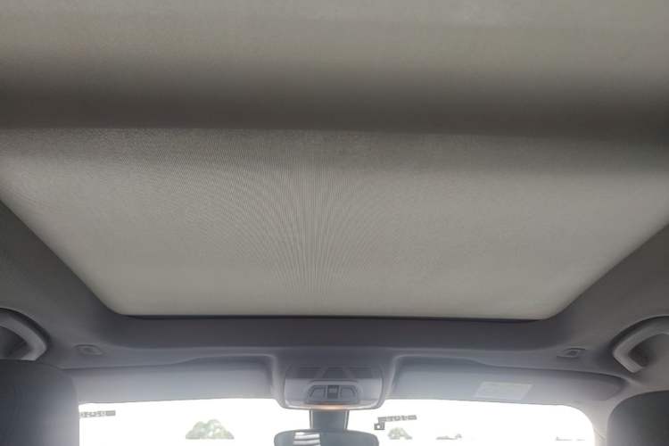 Used BMW X1 2018 sDrive20Li Leading Model Headliner