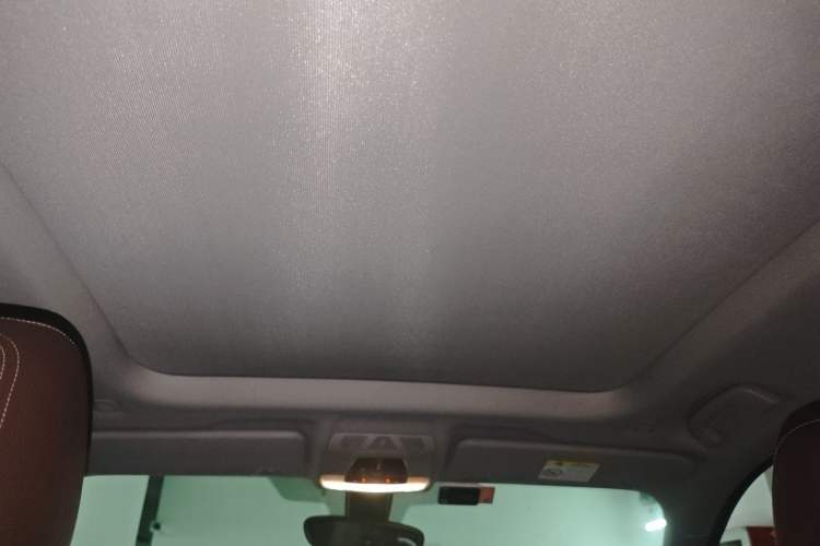 Used BMW X1 2018 sDrive18Li Luxury Model Headliner