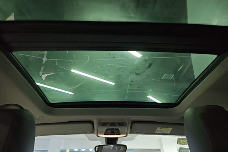Used BMW X1 2018 sDrive18Li Luxury Model Headliner