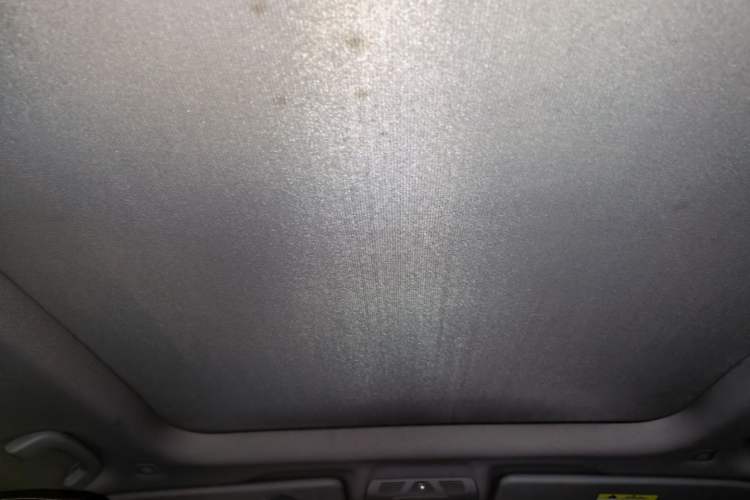 Used BMW X1 2018 xDrive20Li Luxury Edition Headliner