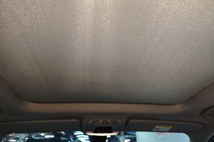 Used BMW X1 2018 sDrive20Li Leading Model Headliner
