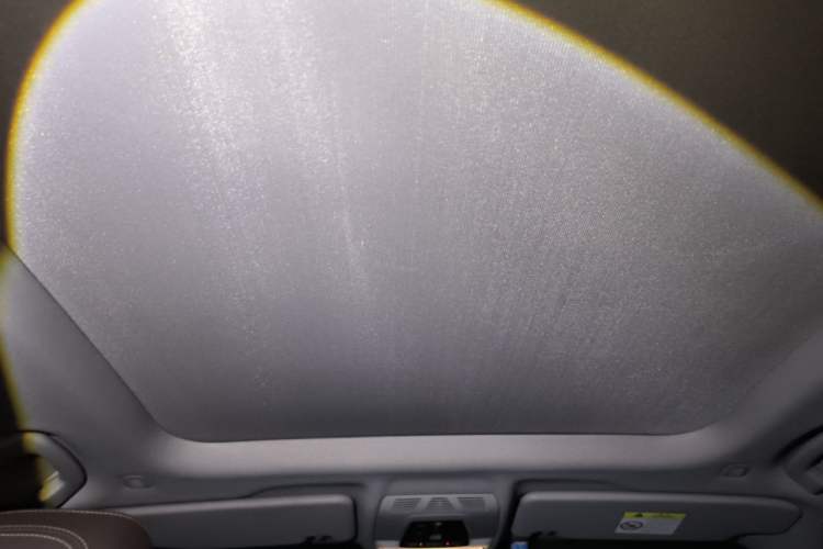 Used BMW X1 2018 xDrive20Li Luxury Edition Headliner