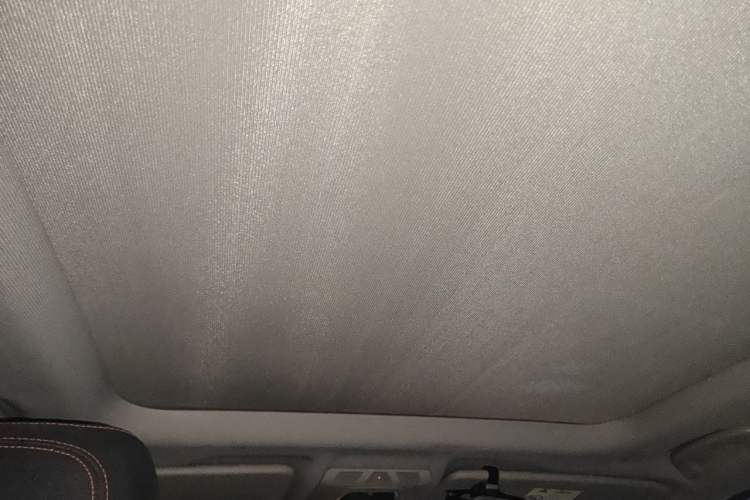 Used BMW X1 2018 sDrive18Li Luxury Model Headliner