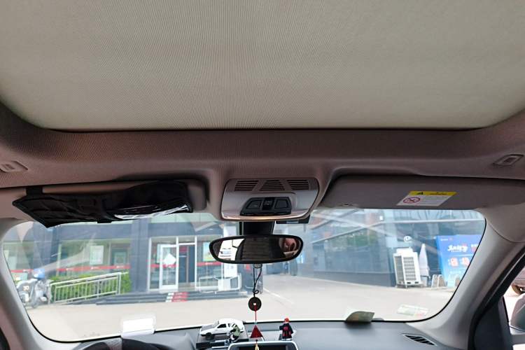 Used BMW X1 2018 sDrive20Li Leading Model Headliner