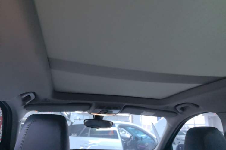 Used BMW X1 2018 sDrive20Li Leading Model Headliner