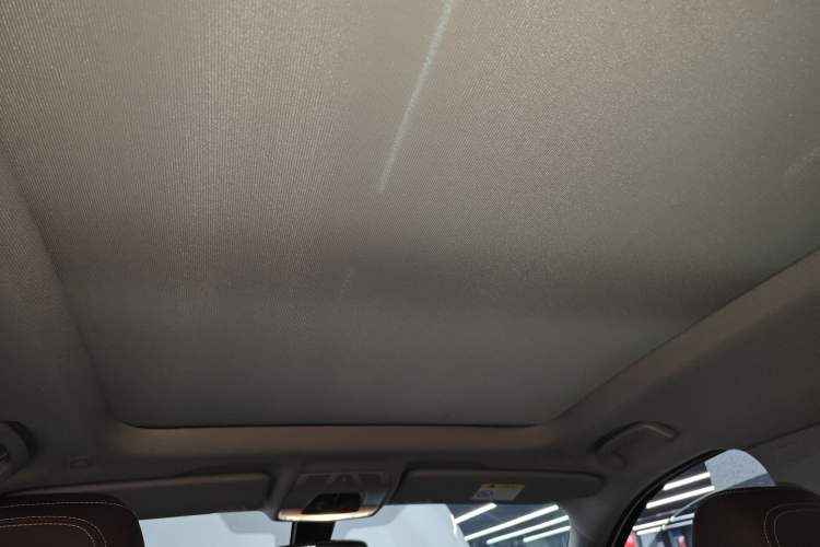 Used BMW X1 2018 sDrive18Li Luxury Model Headliner
