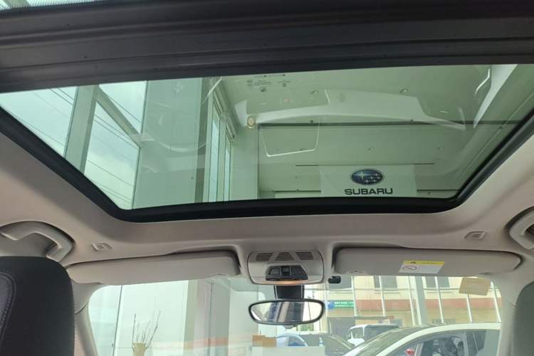 Used BMW X1 2018 sDrive20Li Leading Model Headliner