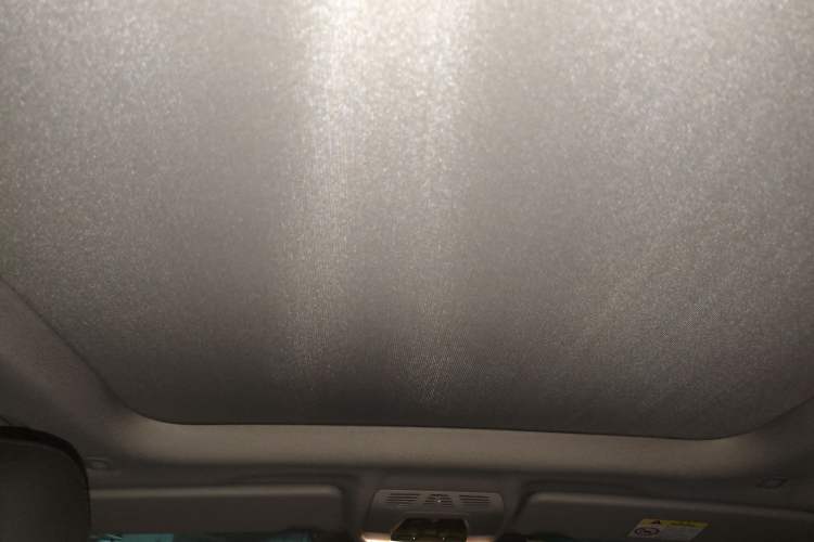 Used BMW X1 2018 sDrive20Li Leading Model Headliner