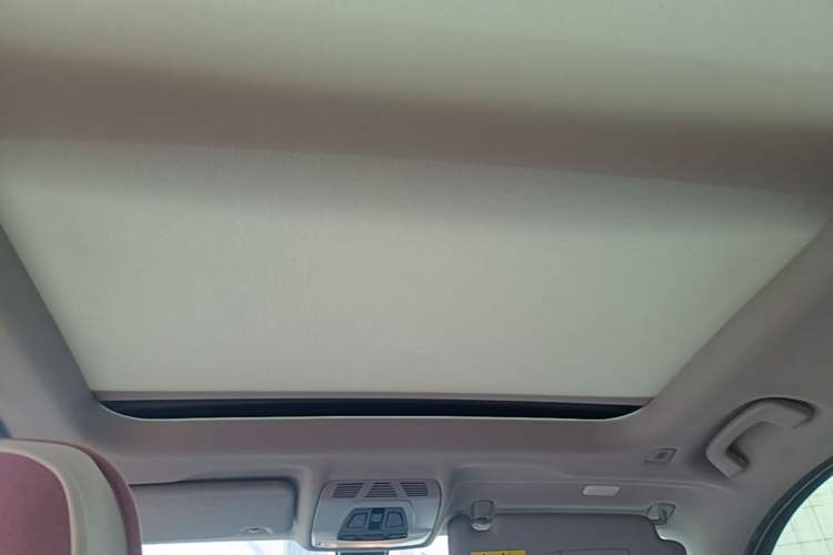 Used BMW X1 2018 sDrive20Li Leading Model Headliner