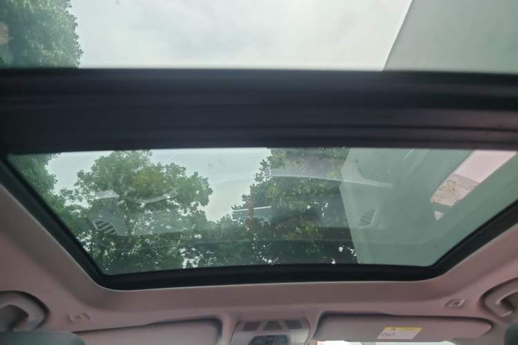 Used BMW X1 2018 sDrive20Li Leading Model Headliner