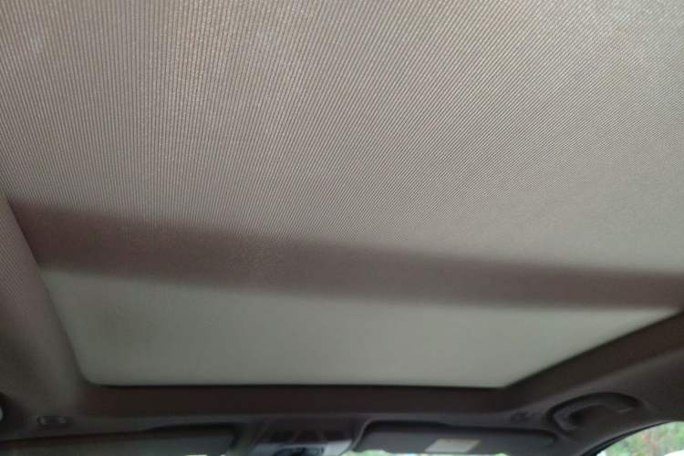 Used BMW X1 2018 xDrive20Li Luxury Edition Headliner