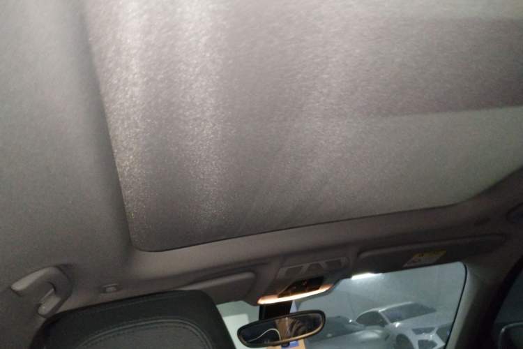 Used BMW X1 2018 sDrive20Li Leading Model Headliner