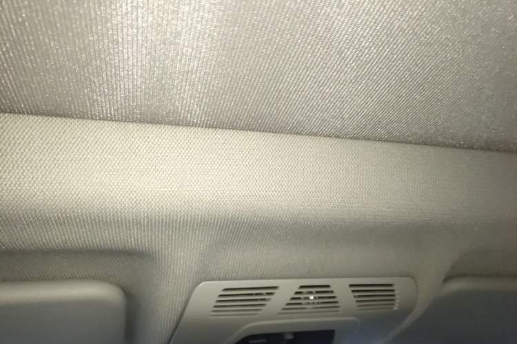Used BMW X1 2018 sDrive18Li Luxury Model Headliner