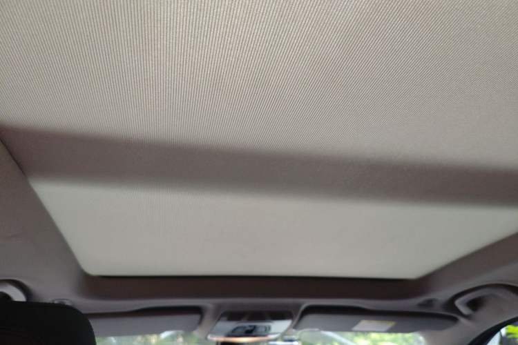 Used BMW X1 2018 sDrive20Li Leading Model Headliner