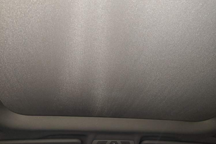 Used BMW X1 2018 sDrive20Li Leading Model Headliner