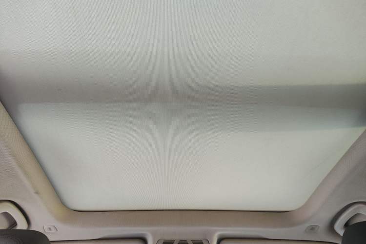 Used BMW X1 2018 sDrive20Li Leading Model Headliner