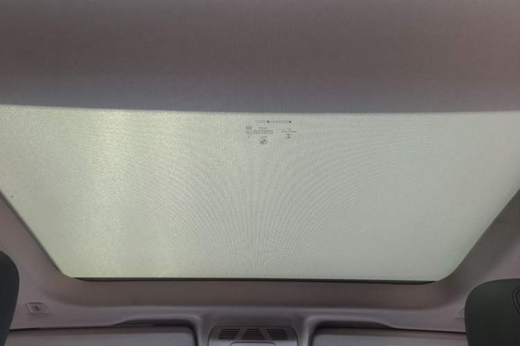 Used BMW X1 2018 sDrive20Li Leading Model Headliner