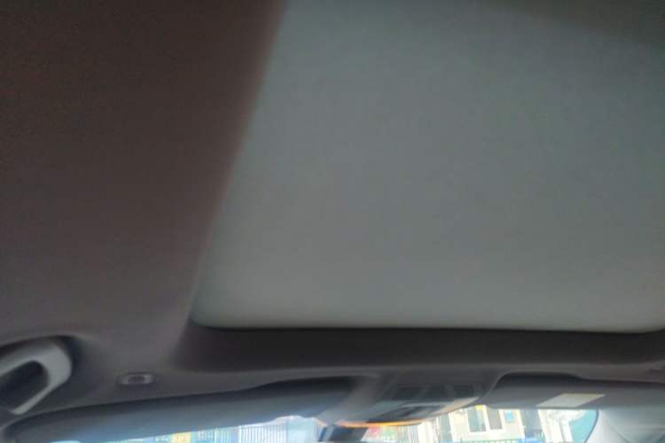 Used BMW X1 2018 sDrive20Li Leading Model Headliner