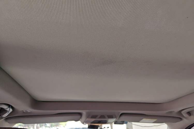 Used BMW X1 2018 sDrive18Li Luxury Model Headliner