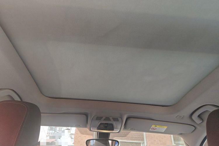 Used BMW X1 2018 xDrive20Li Luxury Edition Headliner