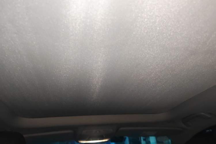 Used BMW X1 2018 sDrive20Li Leading Model Headliner