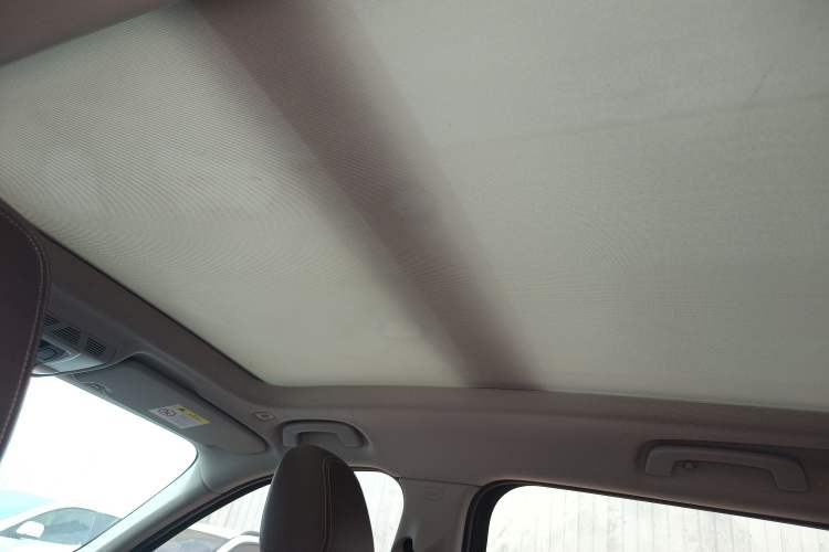 Used BMW X1 2018 xDrive20Li Luxury Edition Headliner