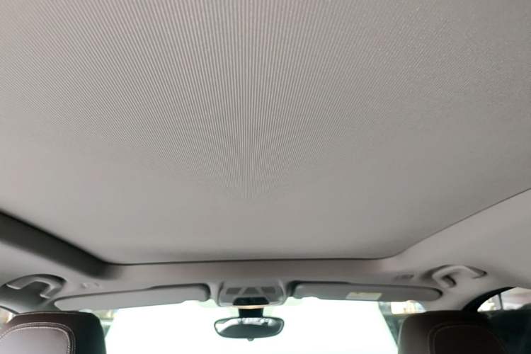 Used BMW X1 2018 xDrive20Li Luxury Edition Headliner