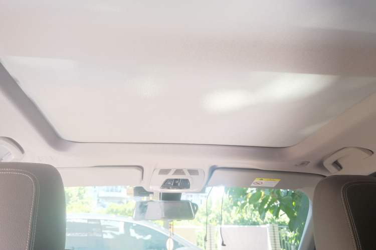 Used BMW X1 2018 xDrive20Li Luxury Model Headliner