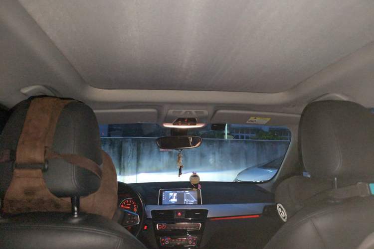 Used BMW X1 2018 sDrive20Li Leading Model Headliner