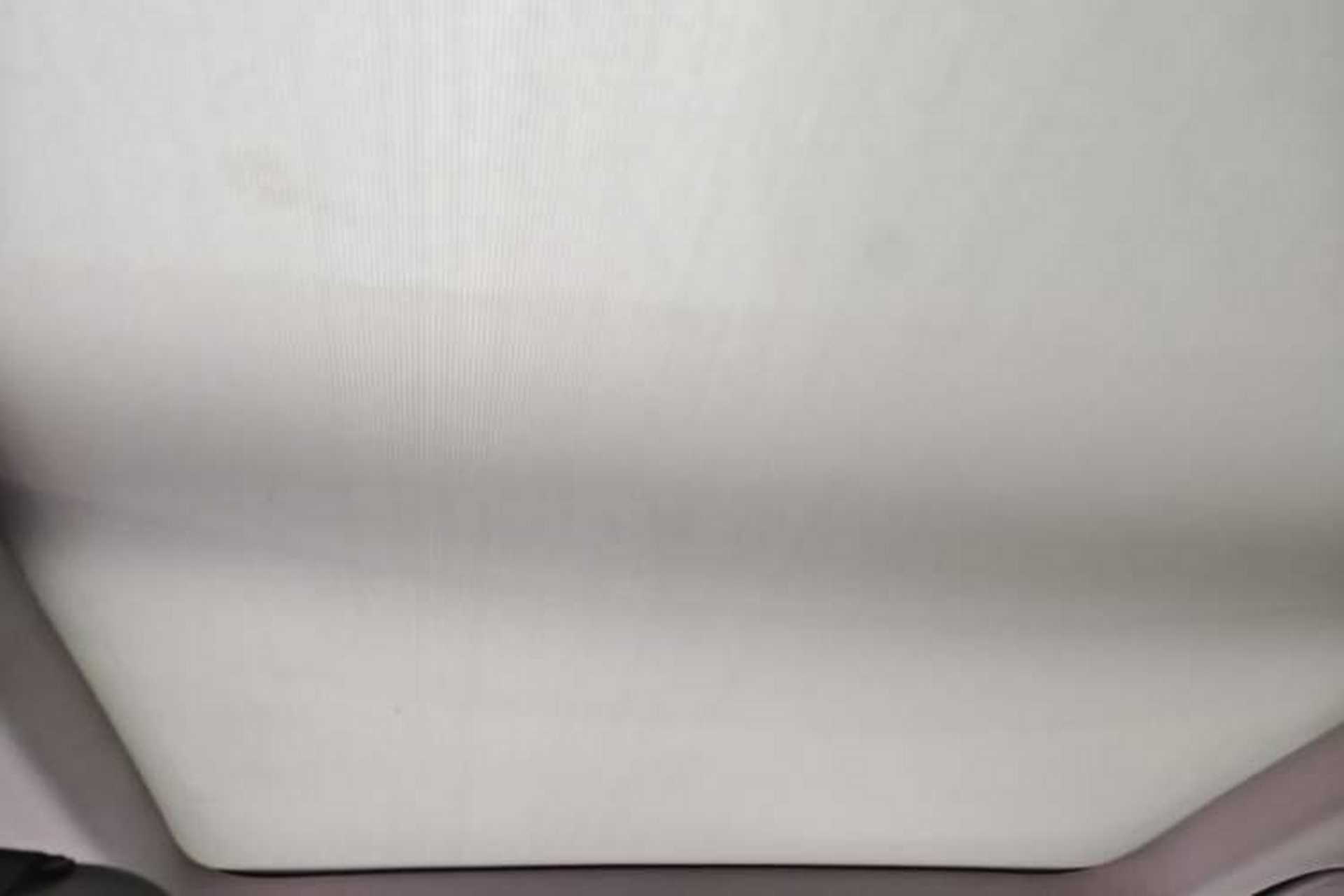 Used BMW X1 2018 sDrive20Li Leading Model Headliner