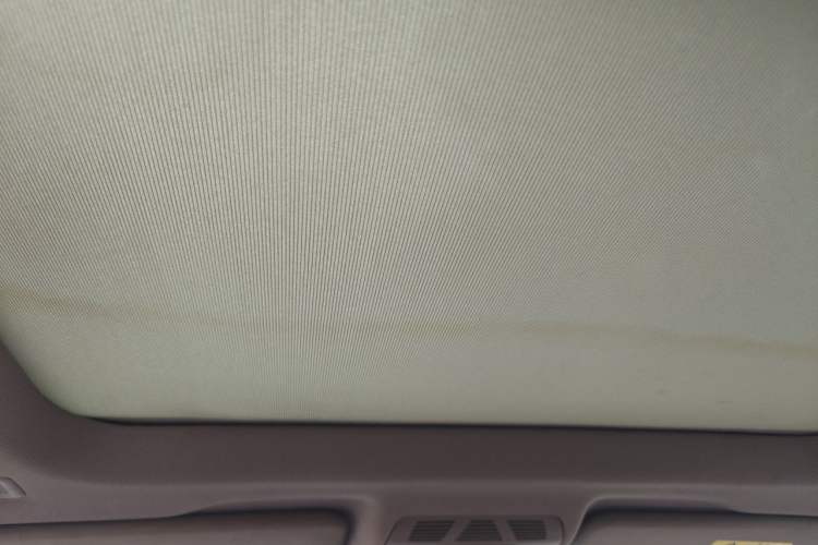 Used BMW X1 2018 sDrive18Li Luxury Model Headliner