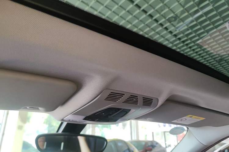 Used BMW X1 2018 xDrive20Li Luxury Model Headliner