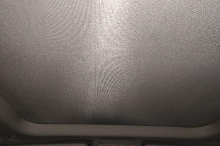 Used BMW X1 2018 sDrive20Li Leading Model Headliner