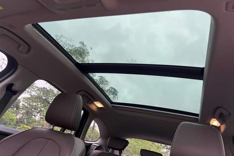 Used BMW X1 2018 sDrive18Li Luxury Model Headliner