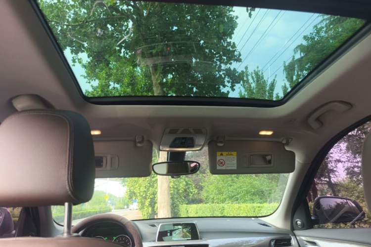 Used BMW X1 2018 xDrive20Li Luxury Edition Headliner