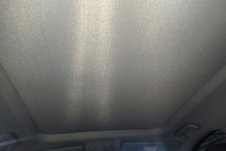 Used BMW X1 2018 sDrive20Li Leading Model Headliner
