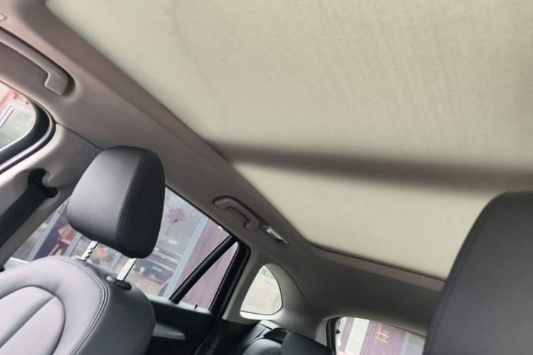 Used BMW X1 2018 sDrive20Li Leading Model Headliner