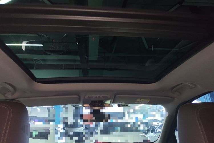 Used BMW X1 2018 xDrive20Li Luxury Edition Headliner