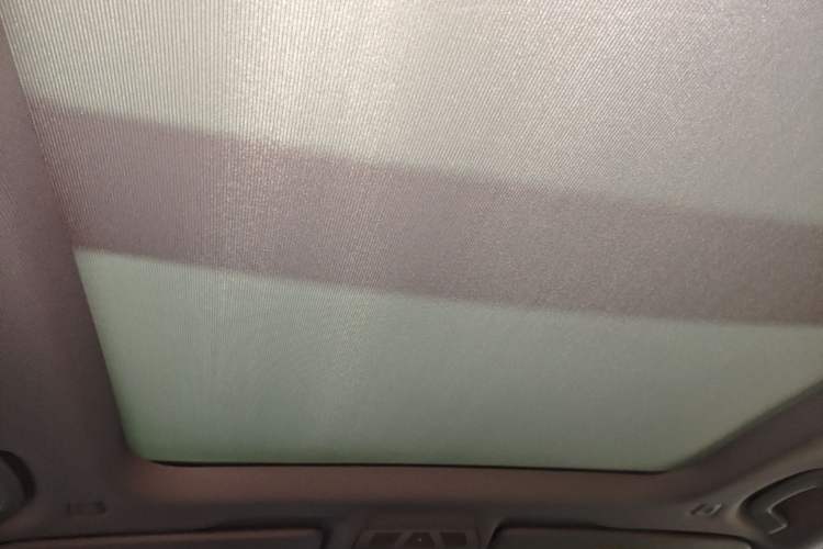 Used BMW X1 2018 sDrive20Li Leading Model Headliner