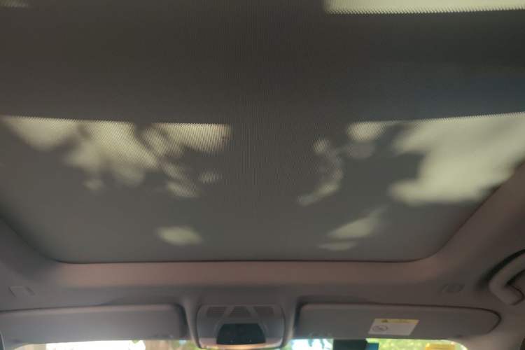 Used BMW X1 2018 xDrive20Li Luxury Edition Headliner