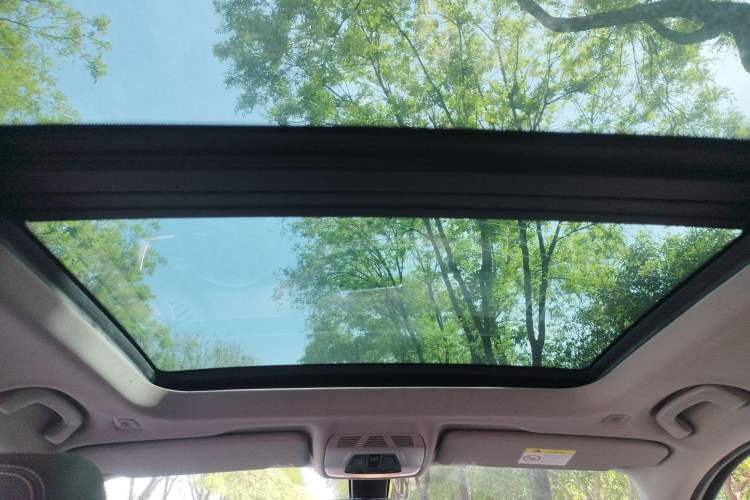 Used BMW X1 2018 sDrive18Li Luxury Model Headliner