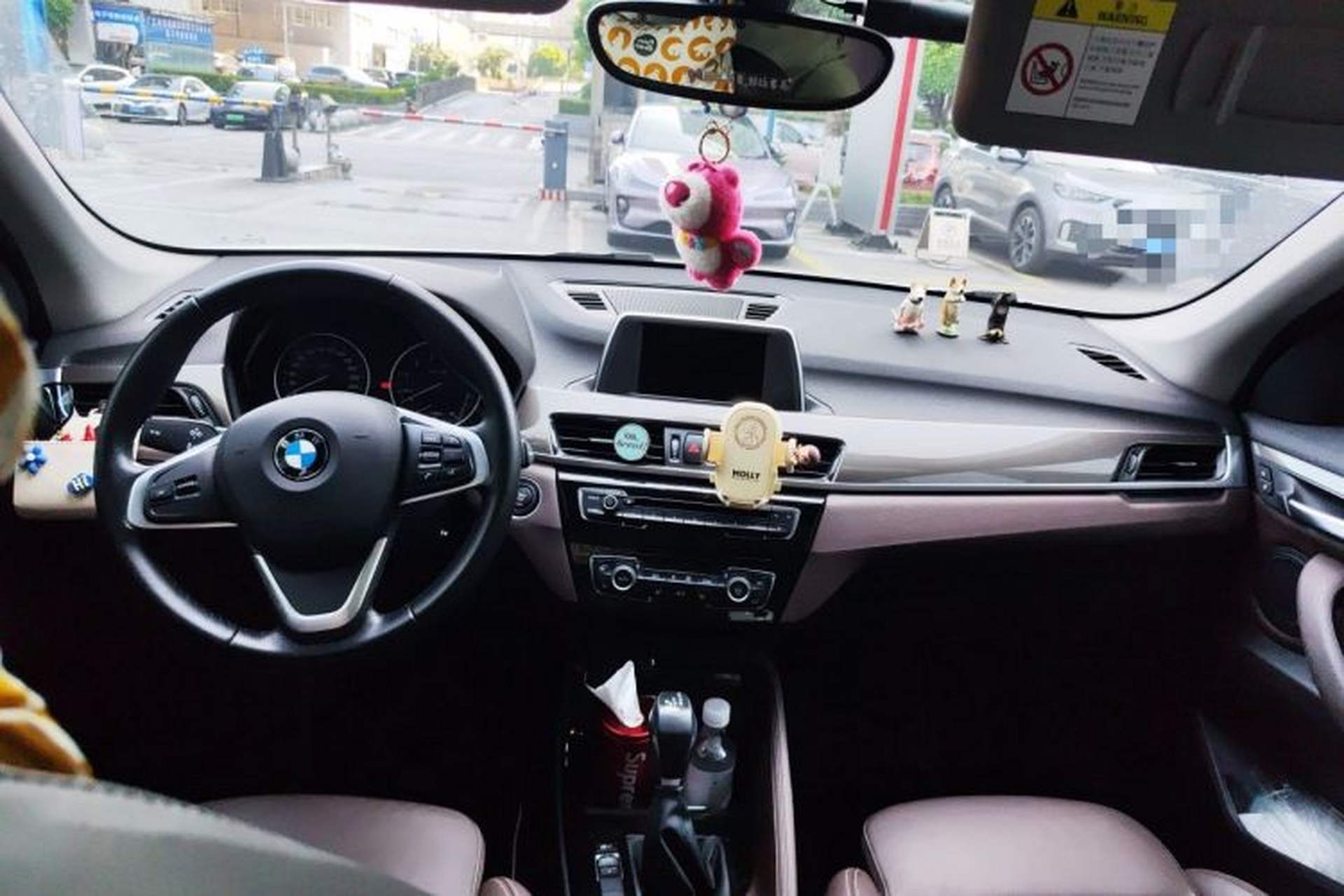 Used BMW X1 2018 xDrive20Li Luxury Edition Headliner