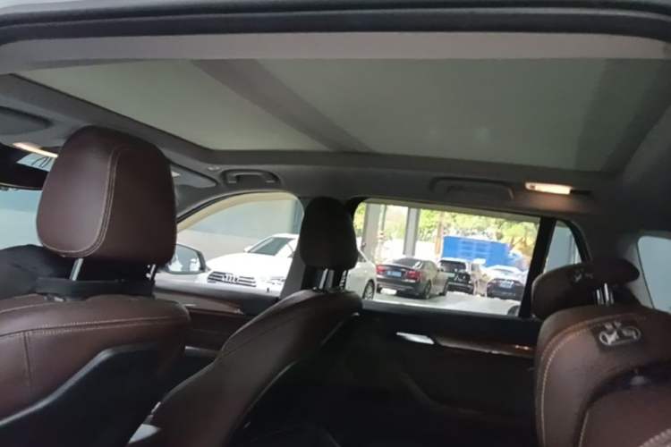Used BMW X1 2018 xDrive20Li Luxury Edition Headliner