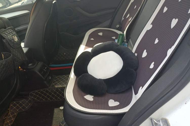 Used BMW X1 2018 sDrive18Li Fashion Model Left Rear Seat