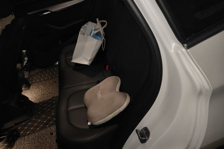 Used BMW X1 2018 sDrive20Li Leading Model Left Rear Seat