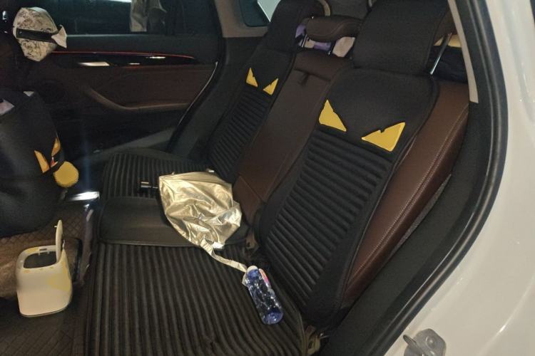 Used BMW X1 2018 xDrive20Li Luxury Model Left Rear Seat