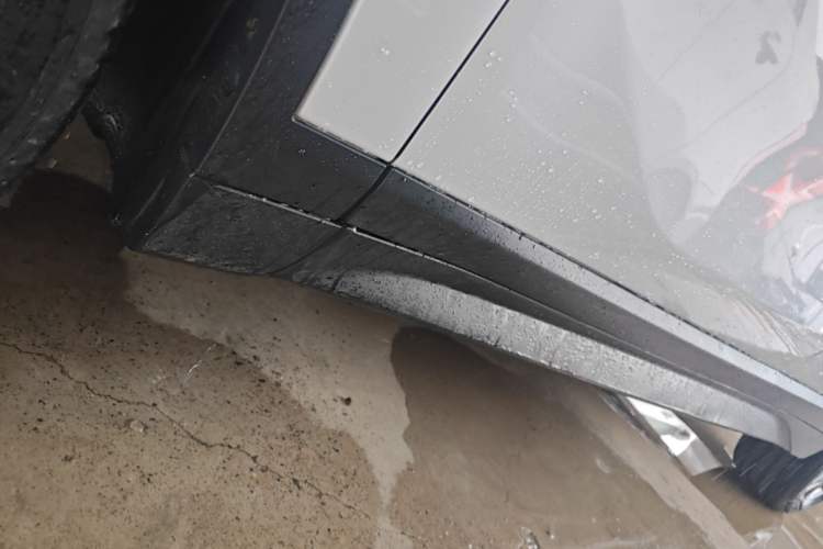 Used BMW X1 2018 sDrive20Li Leading Model Left Side Sill