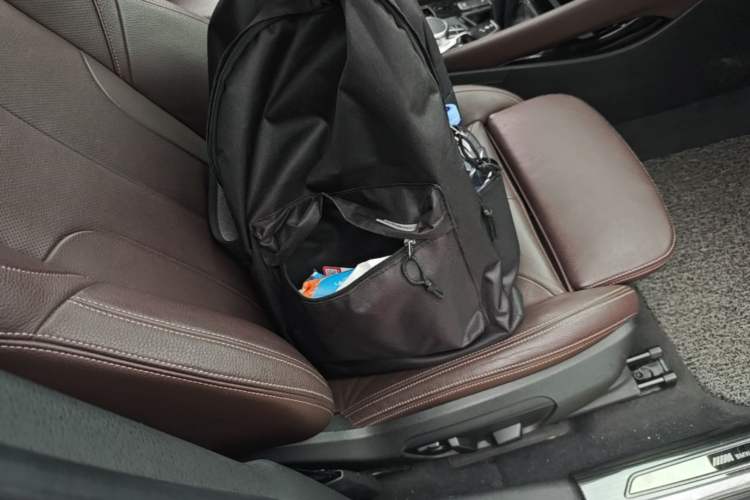 Used BMW X1 2018 xDrive20Li Luxury Model Right Front Seat